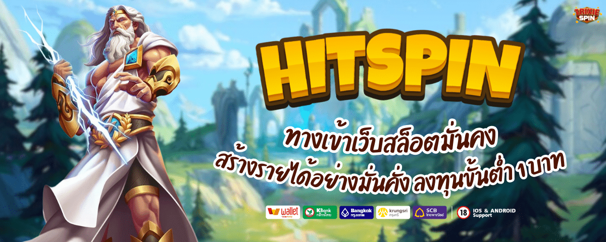 HITSPIN